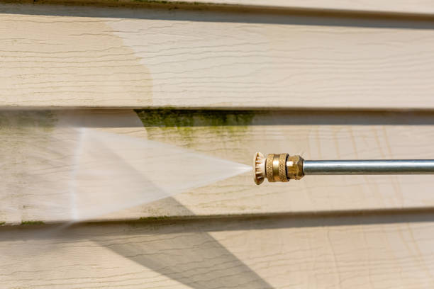 Best House Pressure Washing  in Warsaw, KY